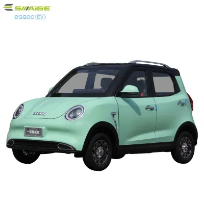 Carro Saige High Motor E com EEC para o mercado americano